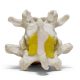 Epidural Lumbar Training Model 1