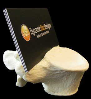 L5 business card holder for spine specialists