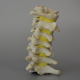 Cervical Spine C1 C7