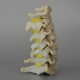 Lateral Cervical Spine Model